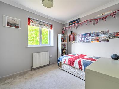 Picture 8